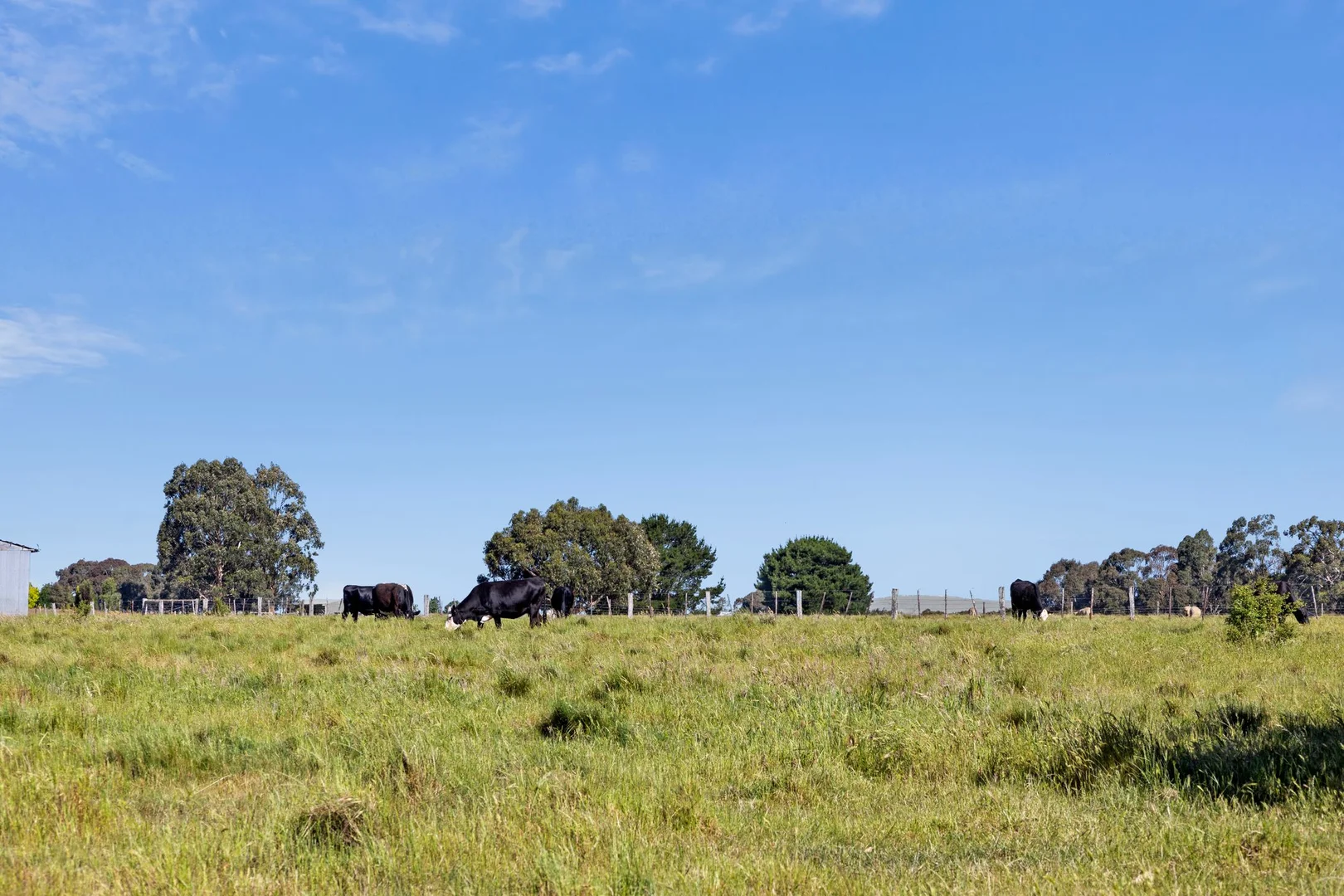 Additional image 10 of Burton Avenue, Kyneton VIC 3444