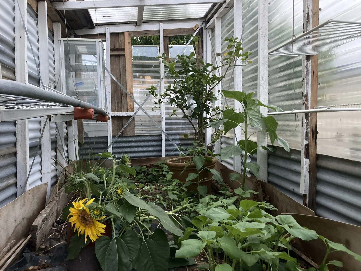 Additional image 28 of 7 Fleming Street, Fingal TAS 7214