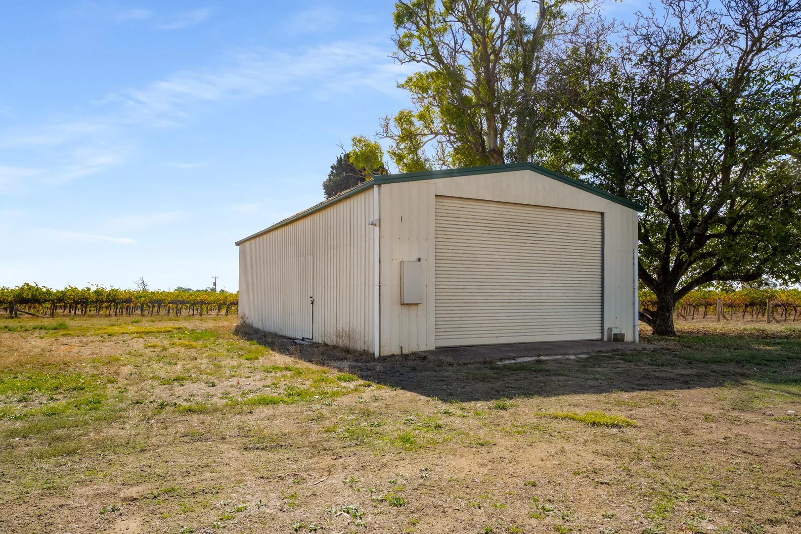 Additional image 48 of 14687 Riddoch Hwy, Coonawarra SA 5263