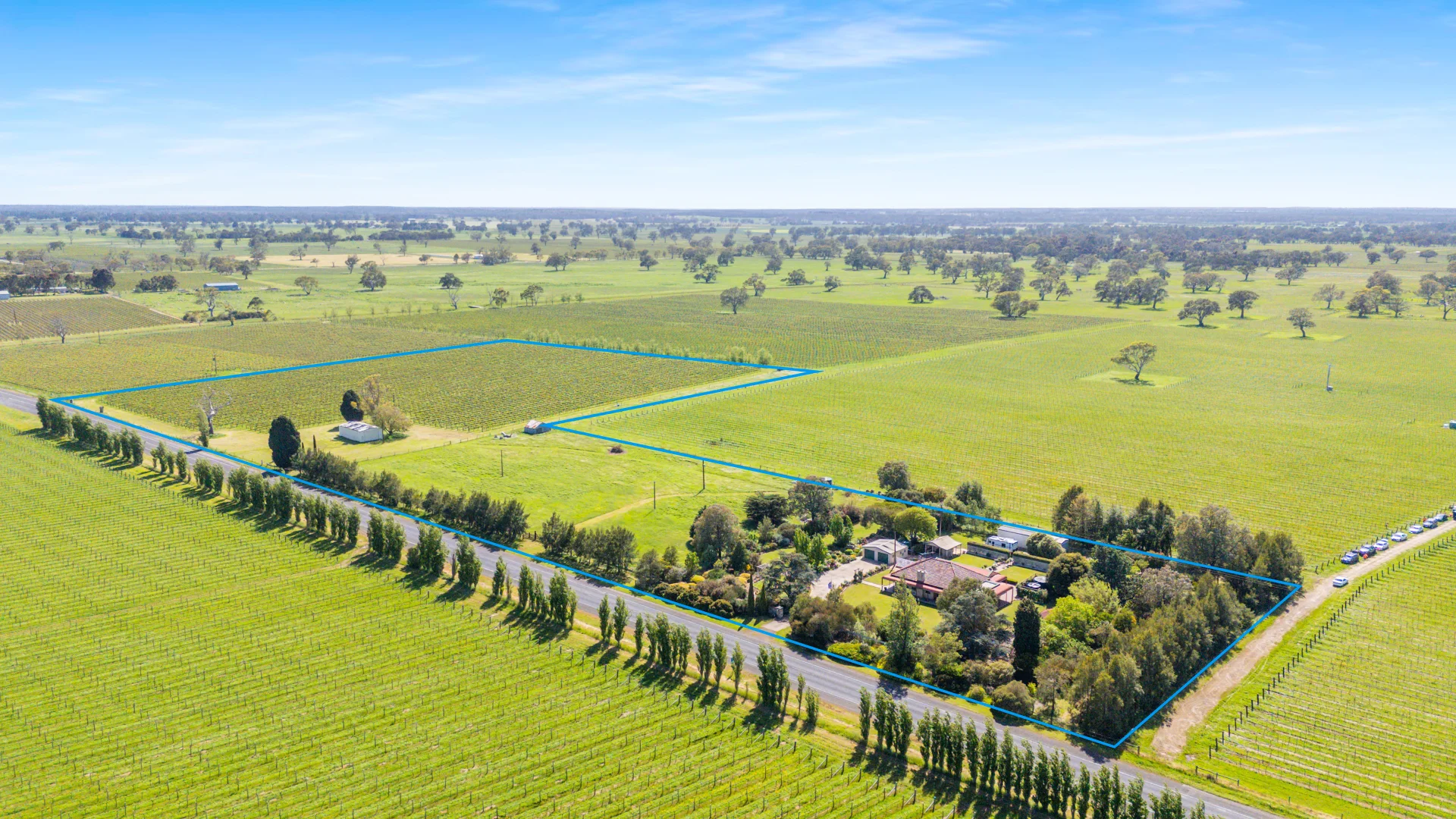 Additional image 52 of 14687 Riddoch Hwy, Coonawarra SA 5263