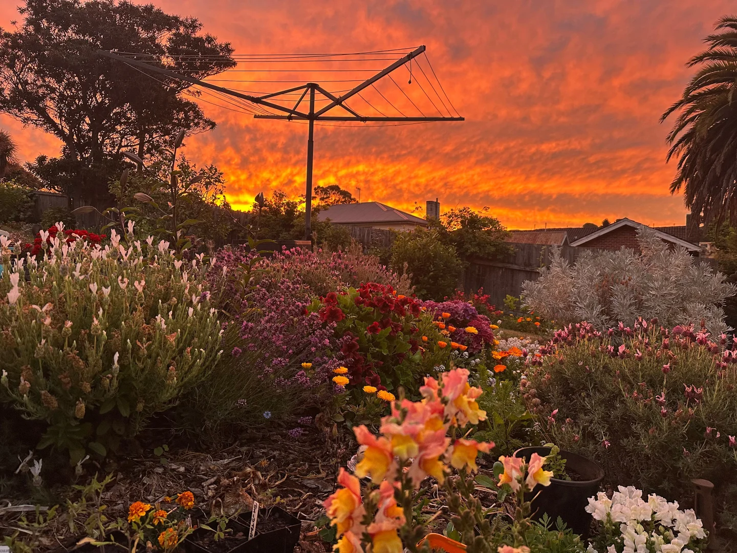 Additional image 33 of 29 Lane Street, Hillcrest TAS 7320