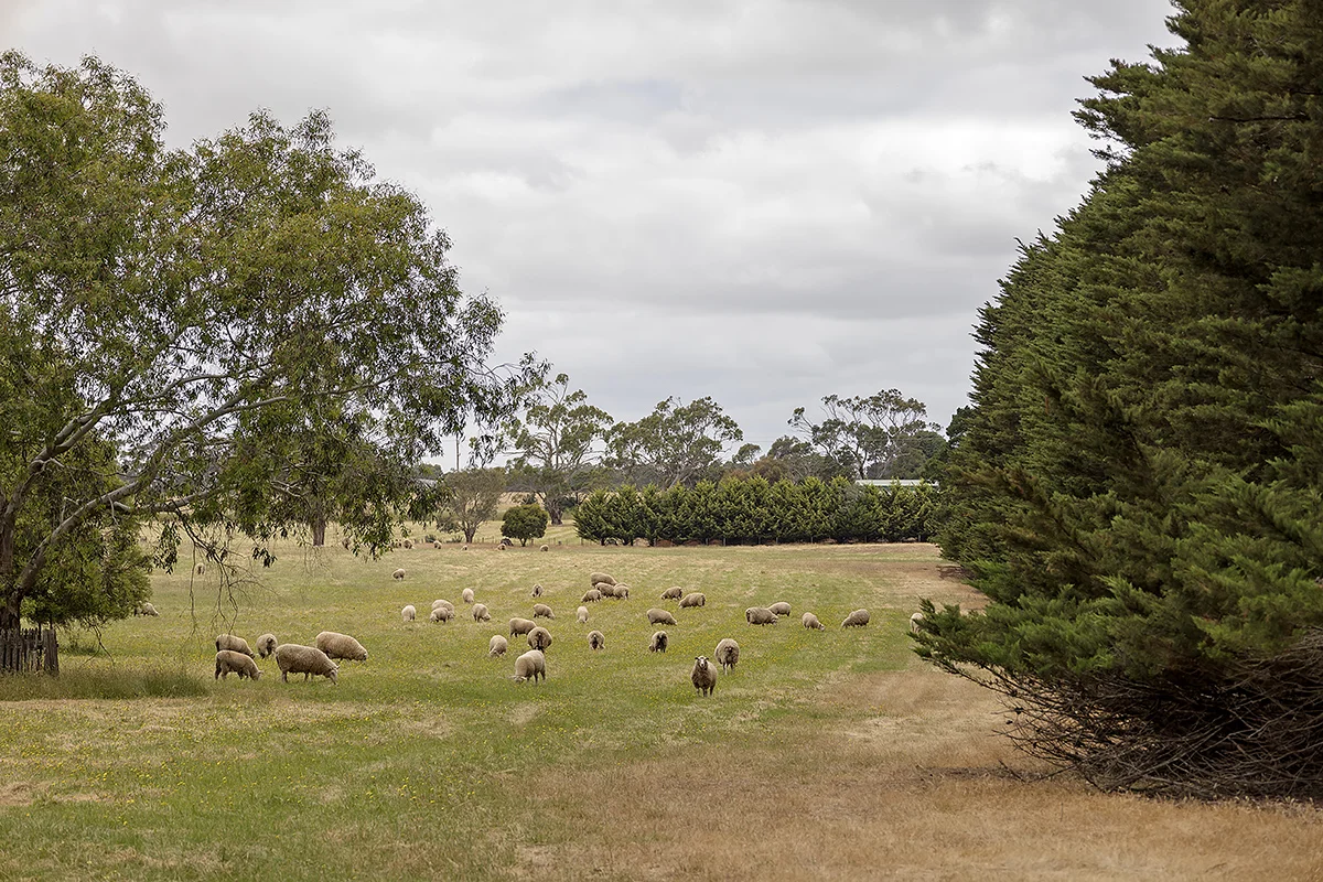 Additional image 29 of 440 Hamilton-Chatsworth Road, Tarrington VIC 3301