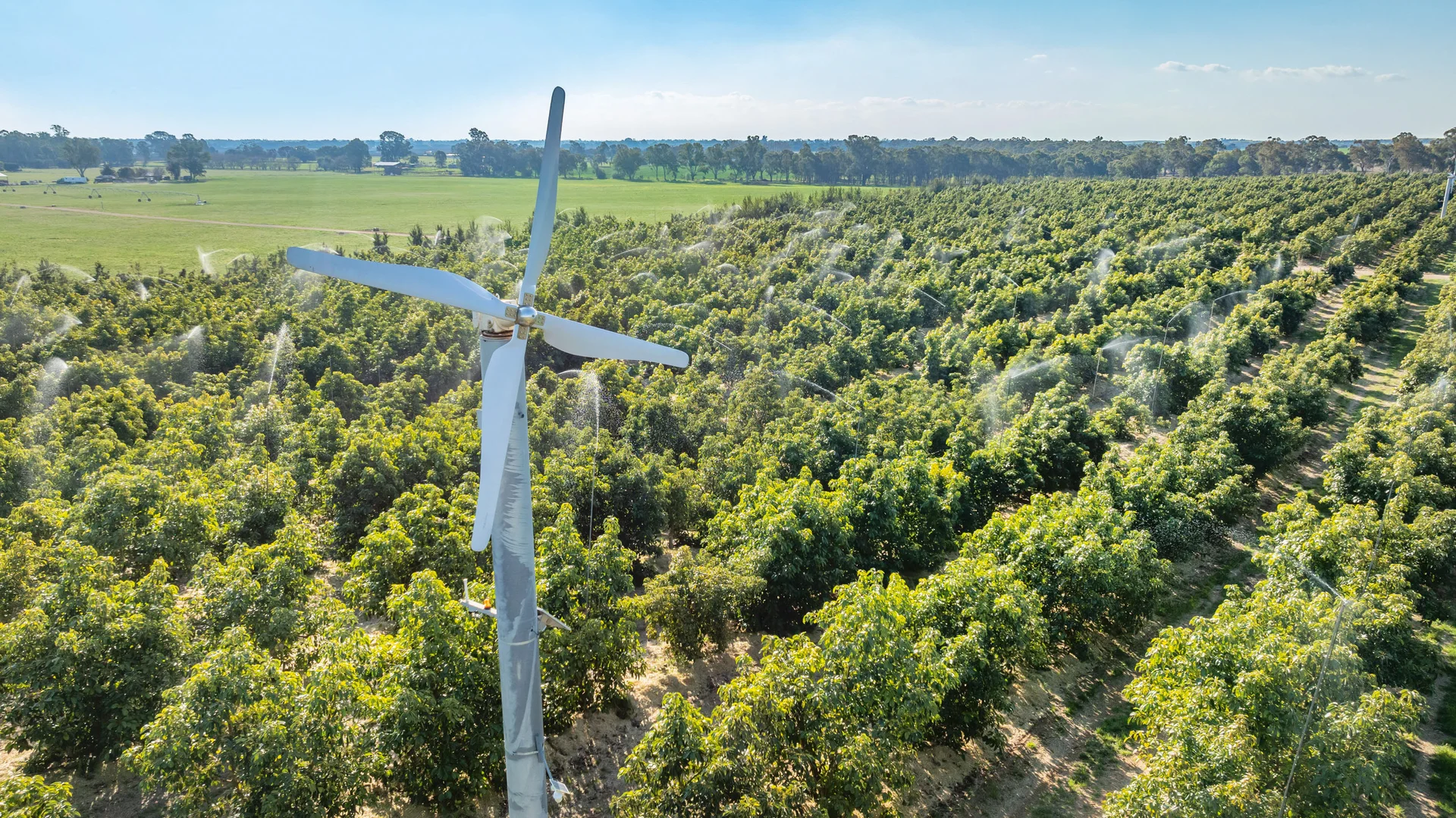 Additional image 2 of Sepelts Road, Barooga NSW 3644