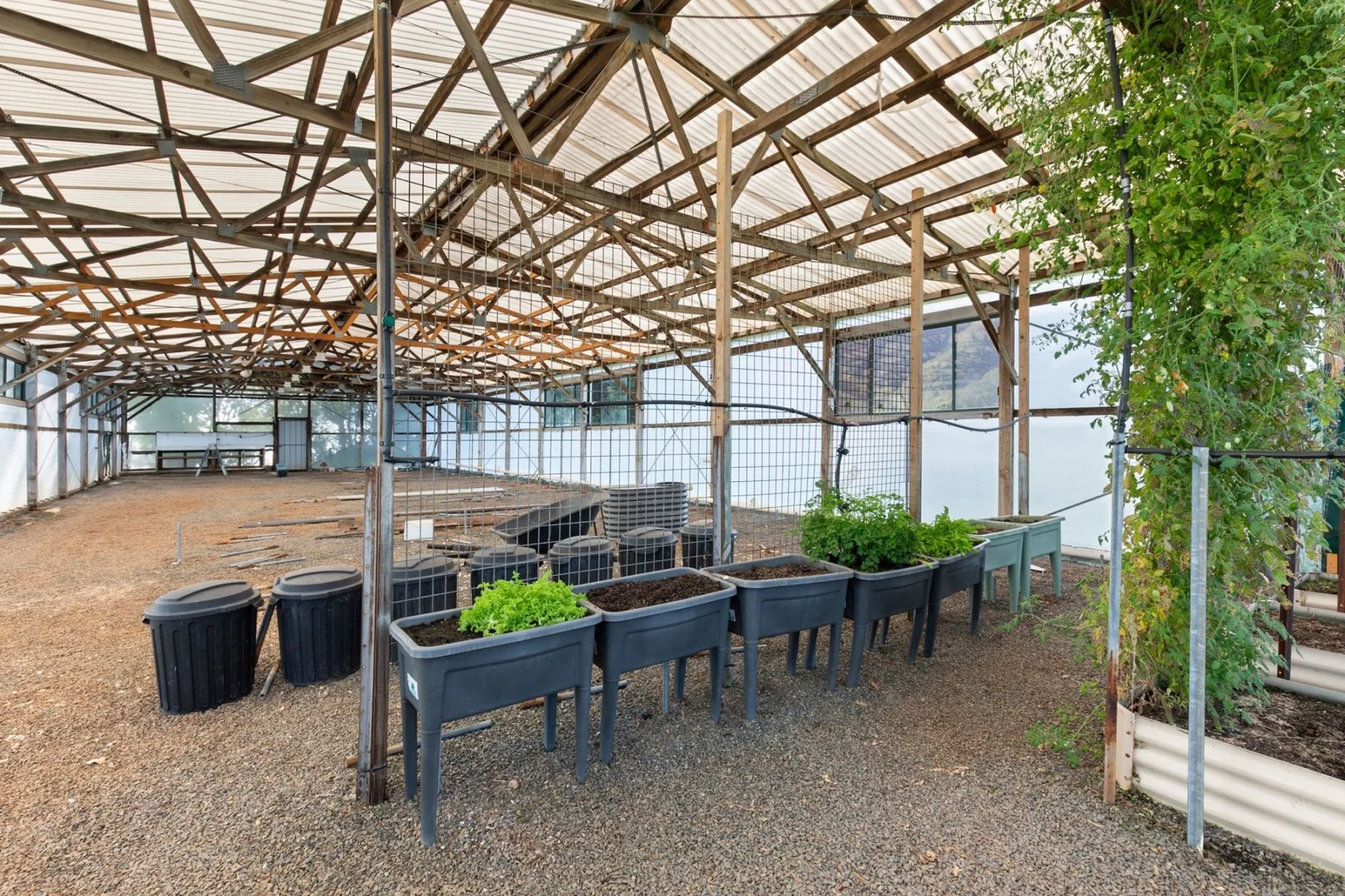 Additional image 27 of 246 Crossmaglen Road, Bonville NSW 2450