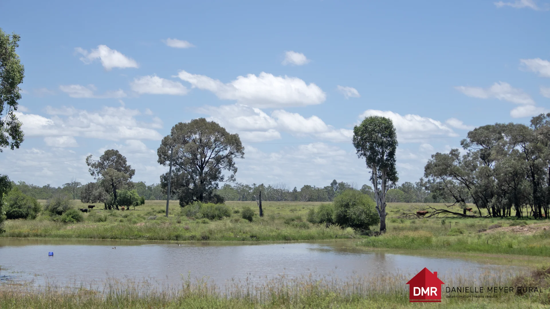 Additional image 17 of 8 Screening Plant Road, Cynthia QLD 4627