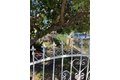 Additional image 3 of 1229 E 59th St, Long Beach, CA, 90805