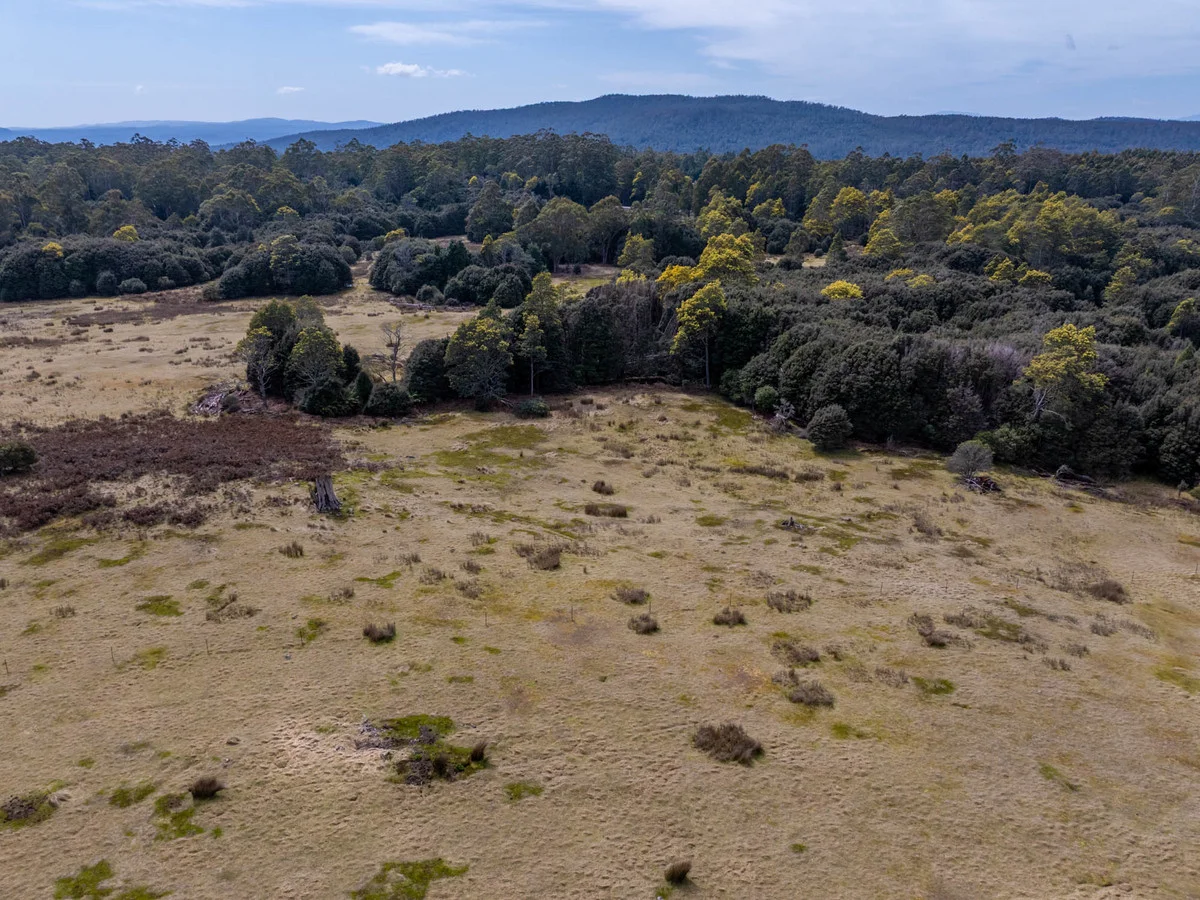 Additional image 8 of 12627 Highland Lakes Road, Golden Valley TAS 7304