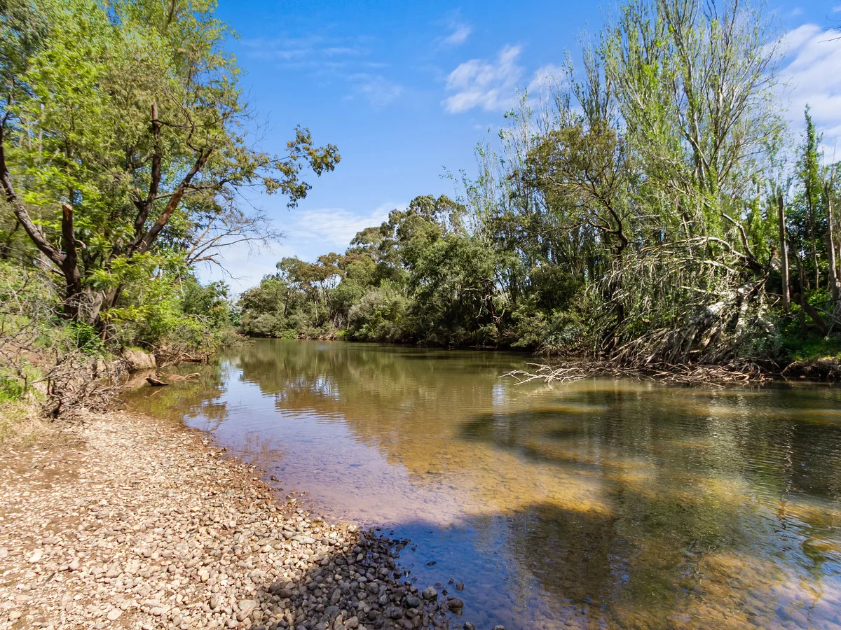 Additional image 23 of 229 Tinamba-Newry Road, Tinamba West VIC 3859