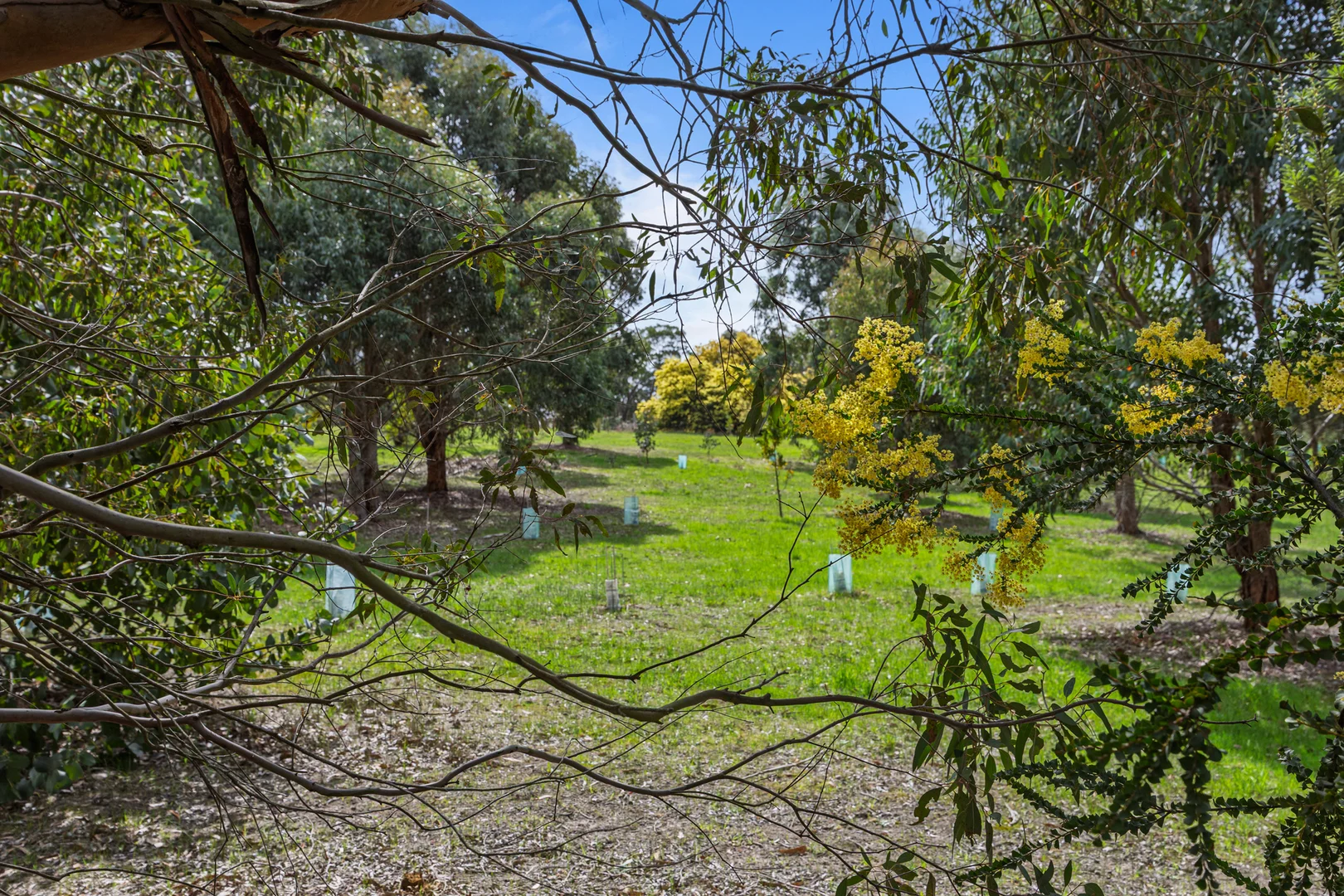 Additional image 22 of Durham Lead VIC 3352