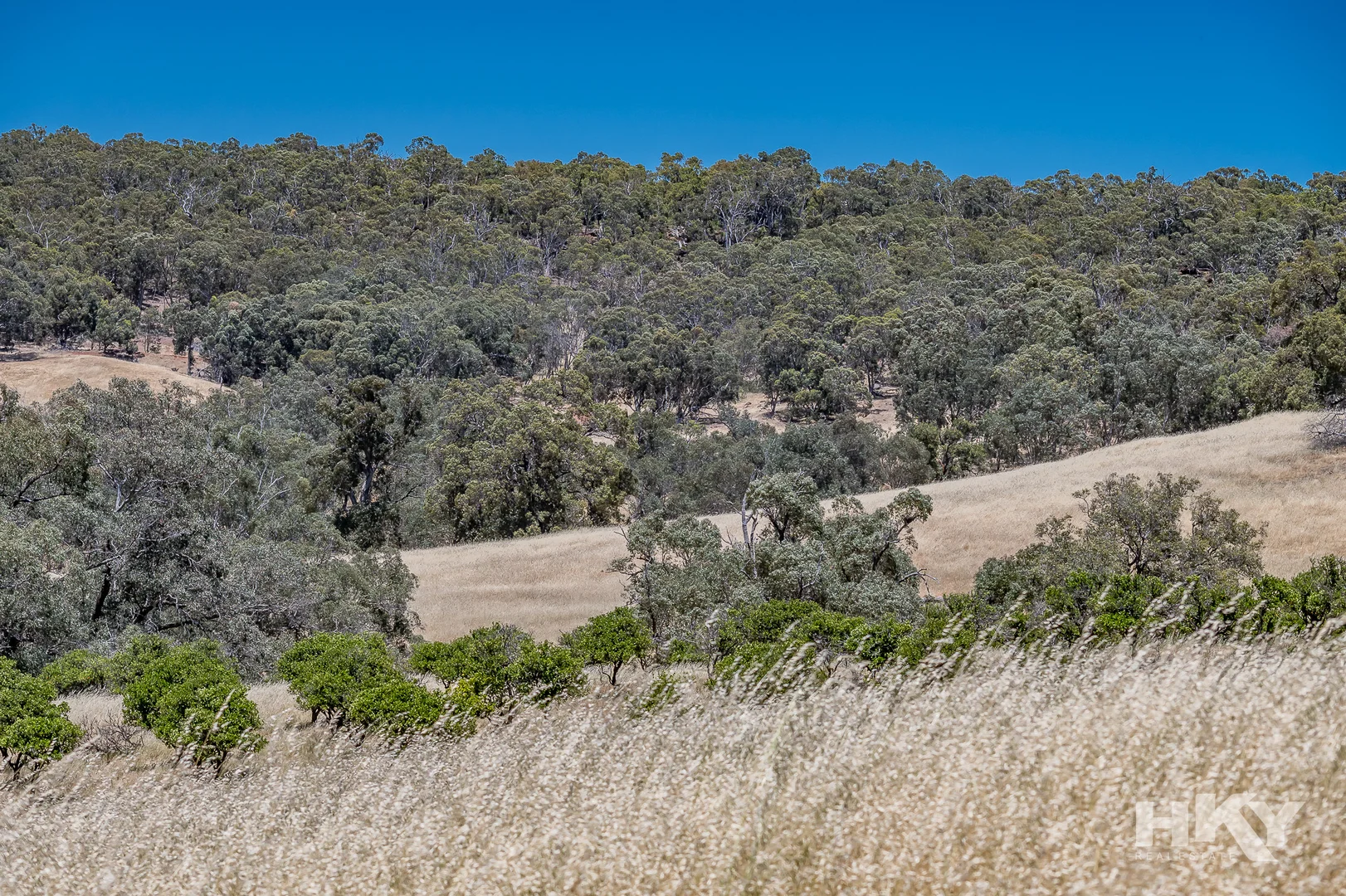 Additional image 19 of 5332 Great Northern Highway (Enter Off Chittering Road), Chittering WA 6084
