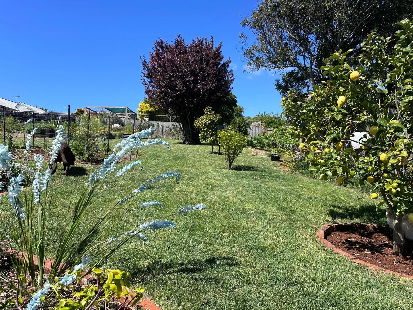 Additional image 8 of 29 Lane Street, Hillcrest TAS 7320