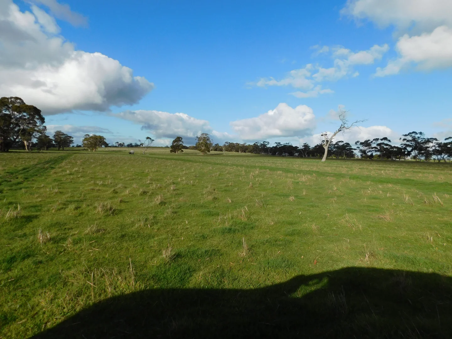 Additional image 12 of 1878 Cannawigara Road, Bordertown SA 5268