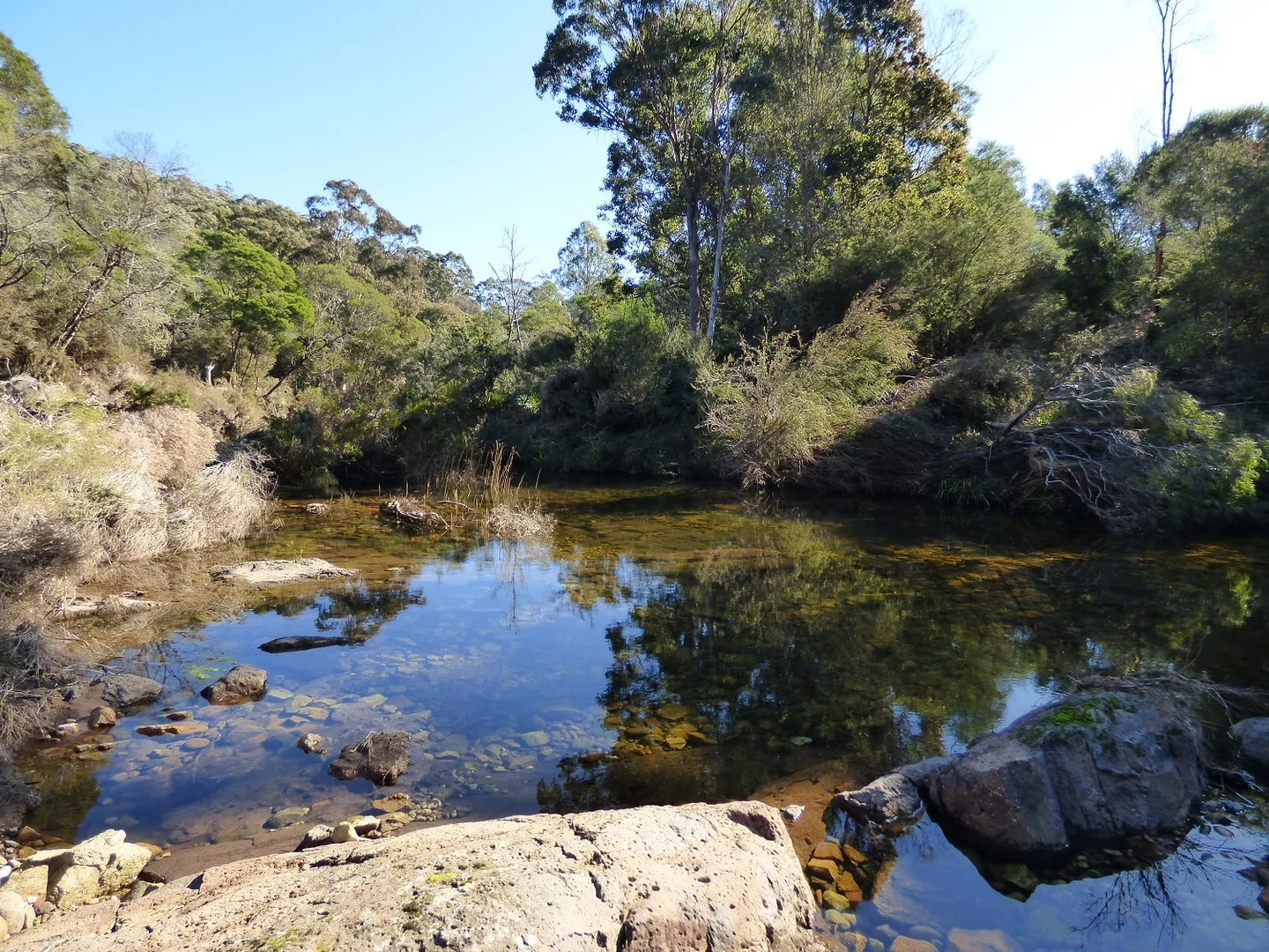 Additional image 5 of 1215 Nethercote Rd, Nethercote NSW 2549