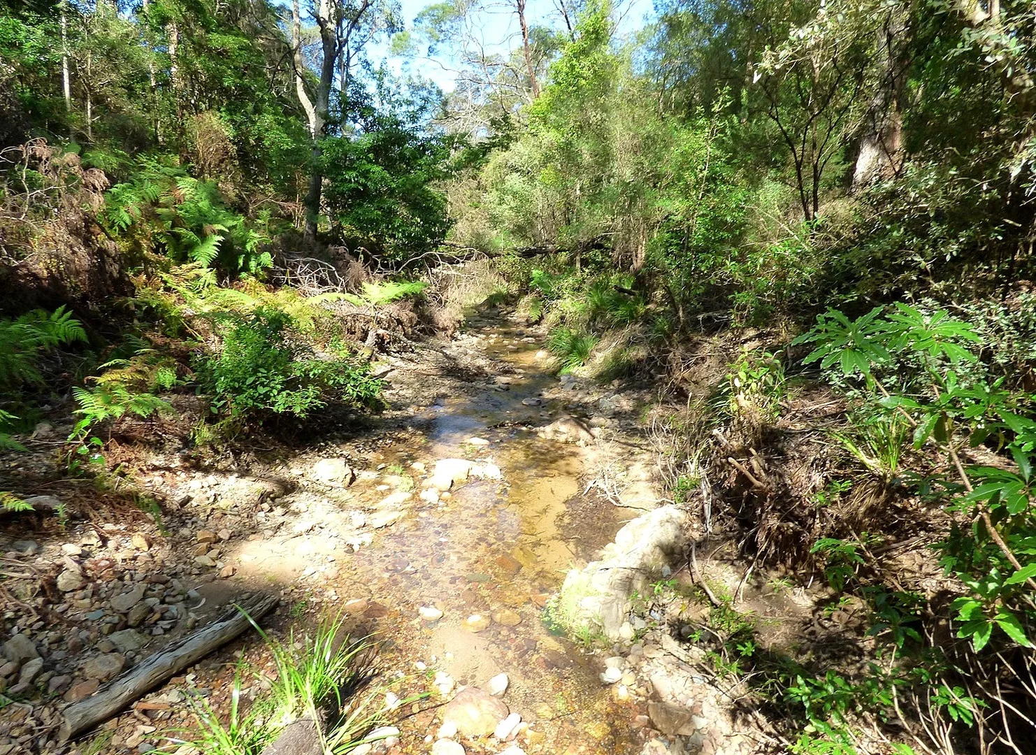 Additional image 2 of 1412 Mount Darragh Rd, Lochiel NSW 2549