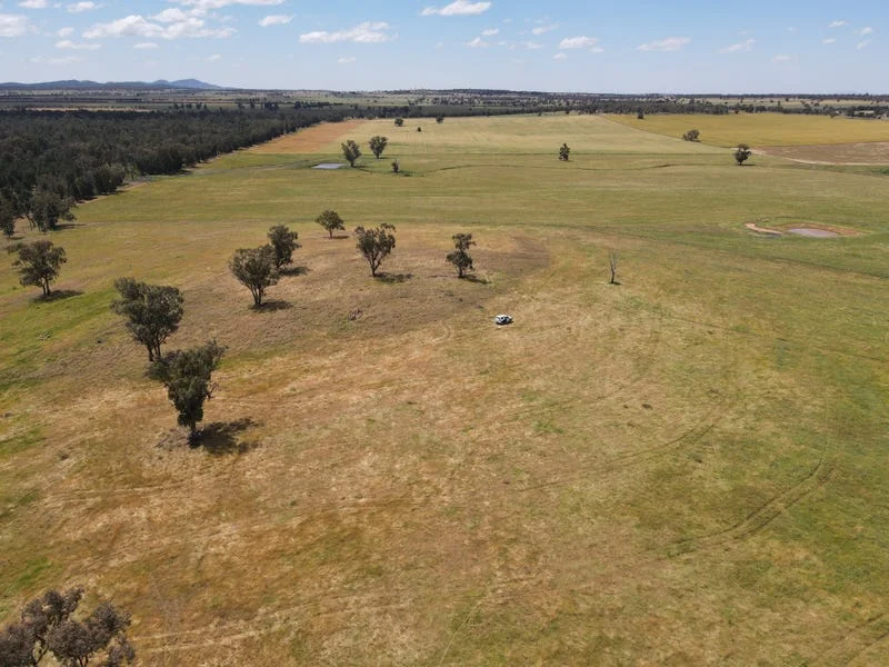 Additional image 11 of 893 Deaths Lane, Pullabooka NSW 2810