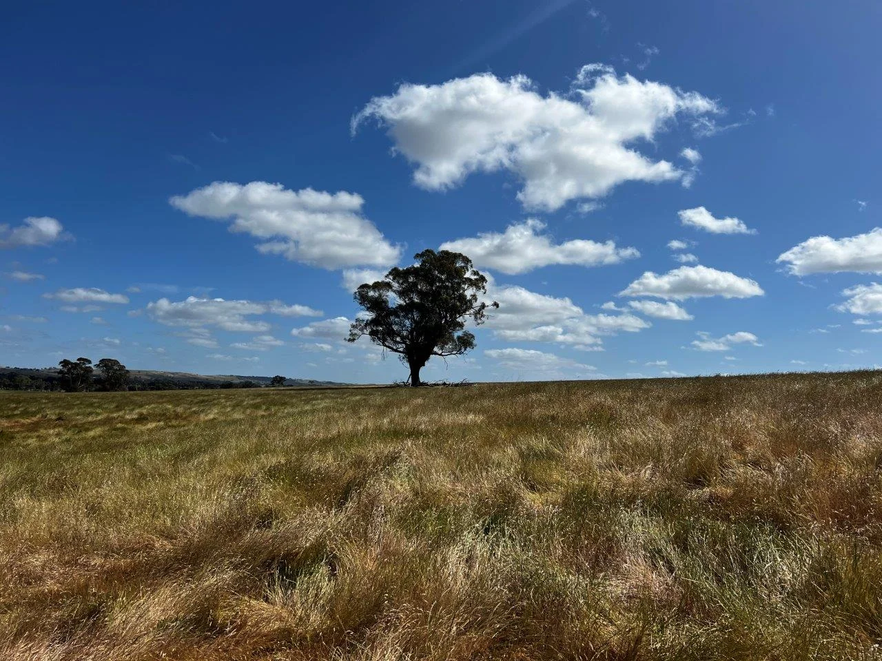 Additional image 19 of CA59D&59C Plain Road, Heathcote VIC 3523