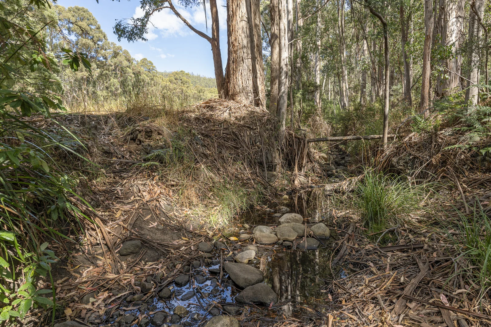Additional image 12 of 1 Millers Road, Middleton TAS 7163