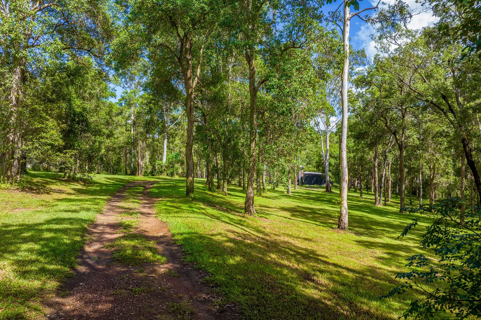 Additional image 19 of 10 O'Keeffe Road, Mothar Mountain QLD 4570