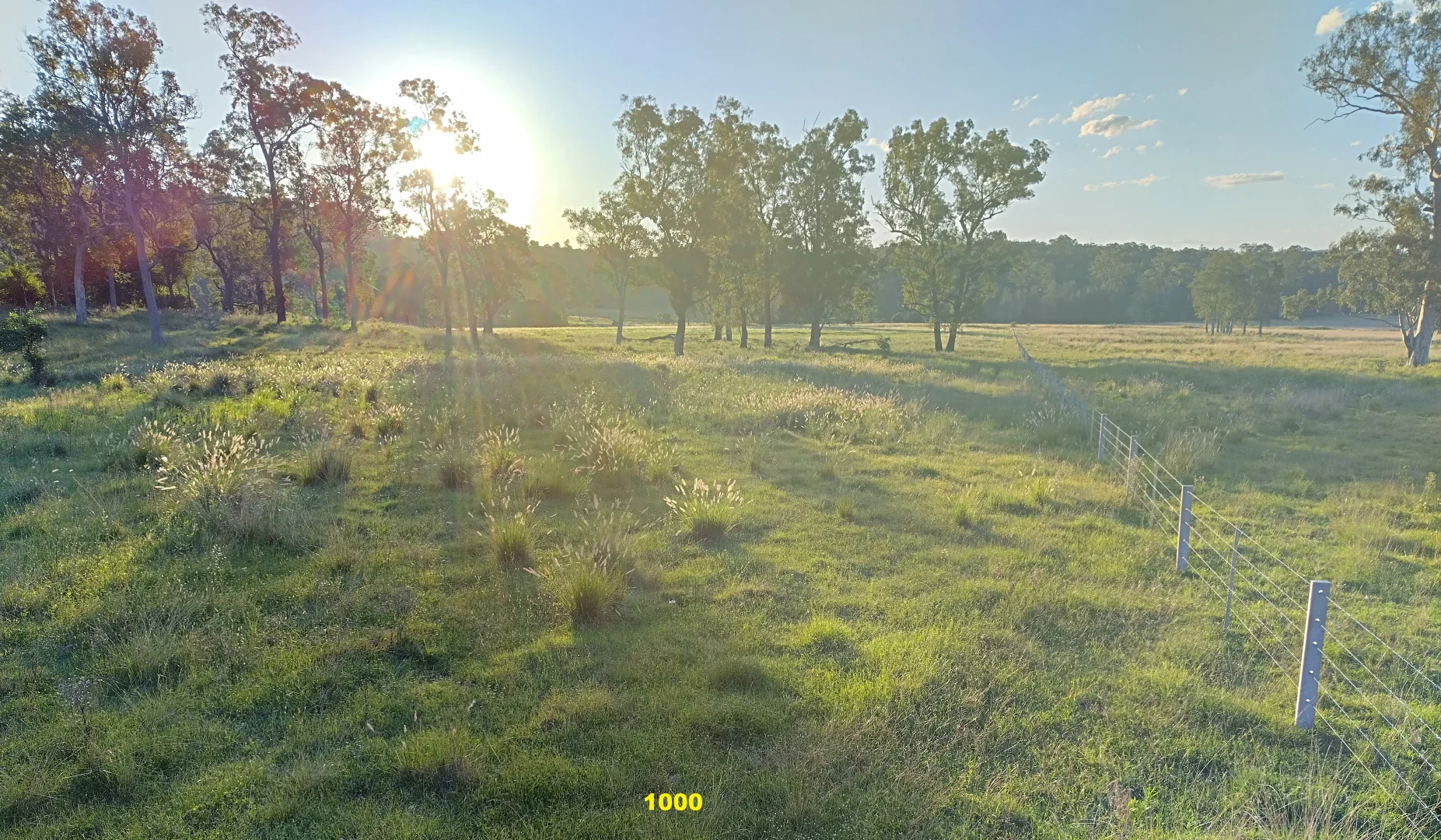 Additional image 19 of 1106 Naughtons Gap Road, Bentley NSW 2480