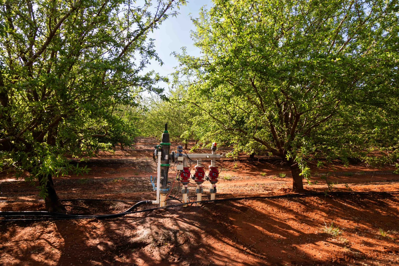 Additional image 12 of Griffith NSW 2680