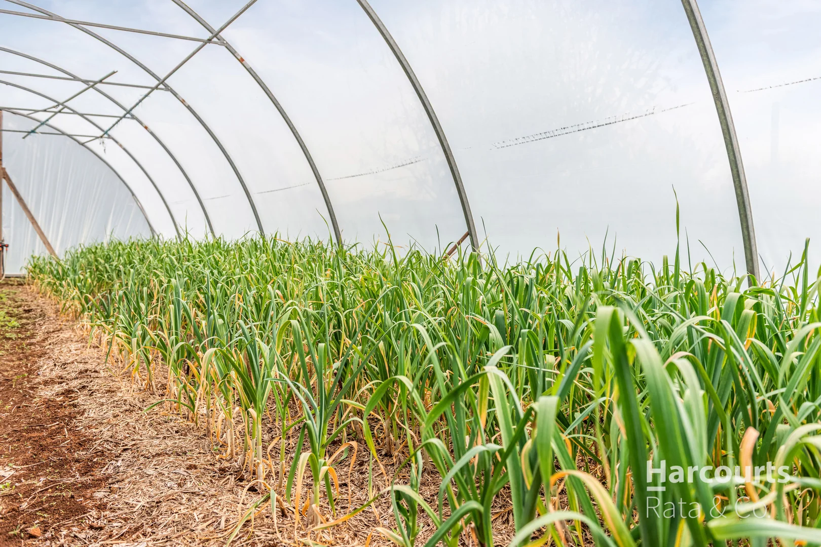 Additional image 14 of 1459 Daylesford-Trentham Road, Lyonville VIC 3461