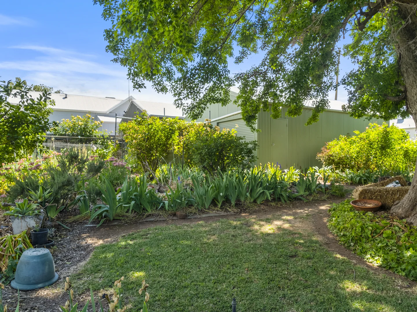 Additional image 22 of 15 Albert Street, Corowa NSW 2646