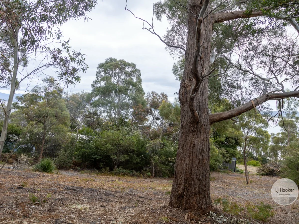 Additional image 18 of 54 Blyth Parade, Great Bay TAS 7150