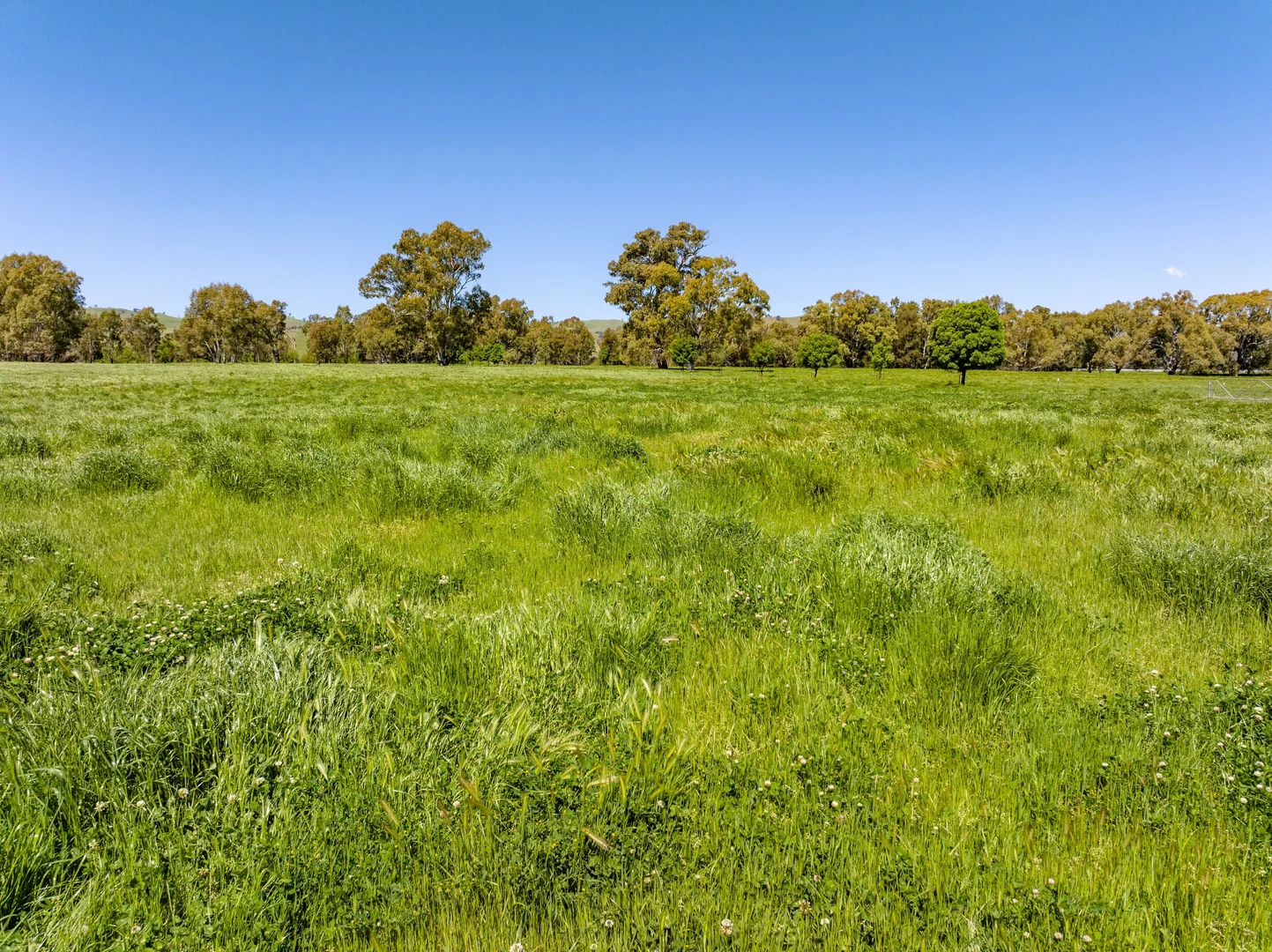 Additional image 32 of 44 Dodd Street, Gundagai NSW 2722