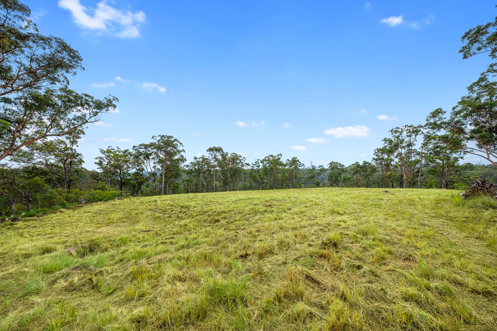 Additional image 8 of 173 Gallaghers Road, South Maroota NSW 2756