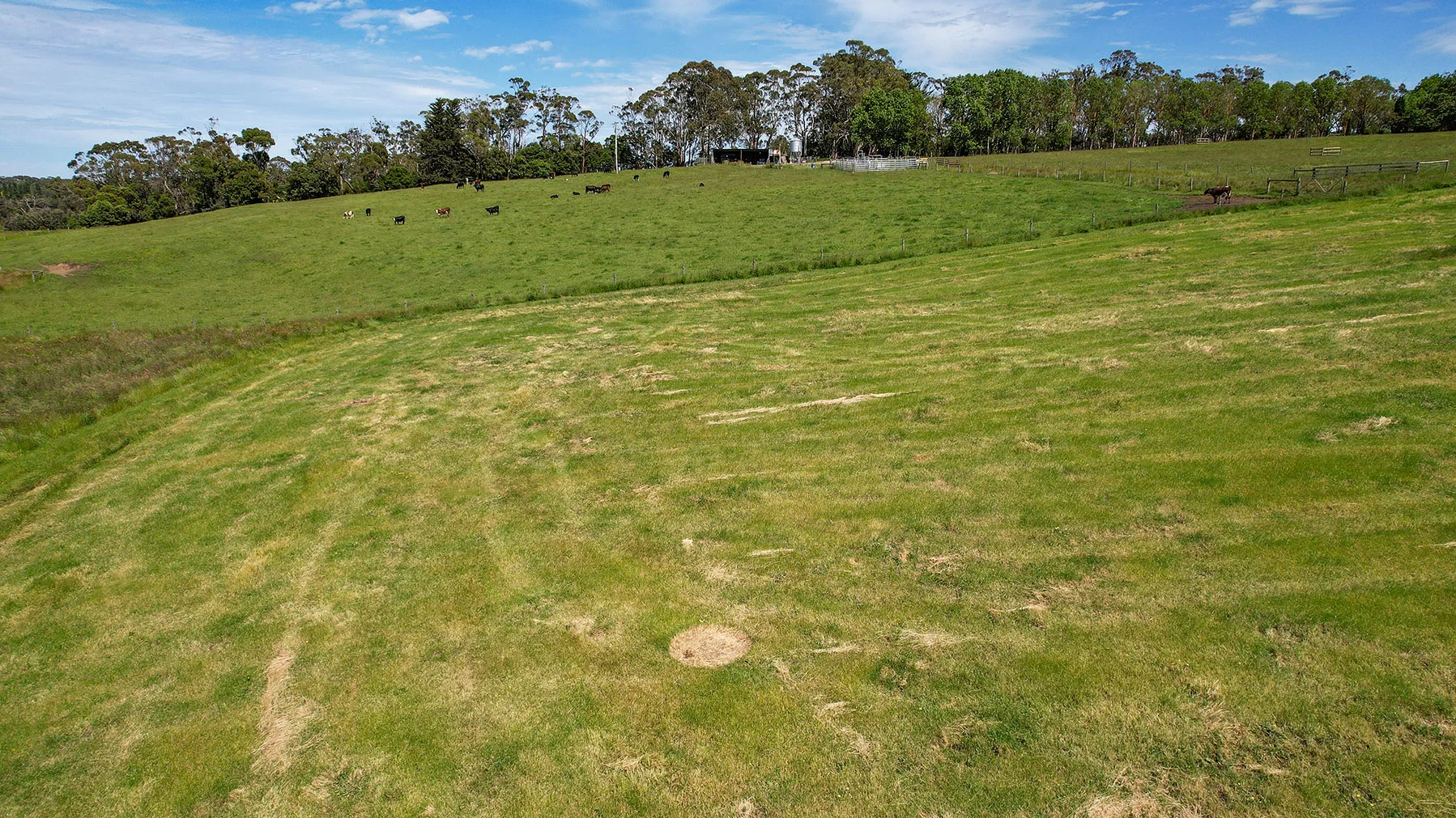 Additional image 33 of 335 Rollos Road, Panmure VIC 3265