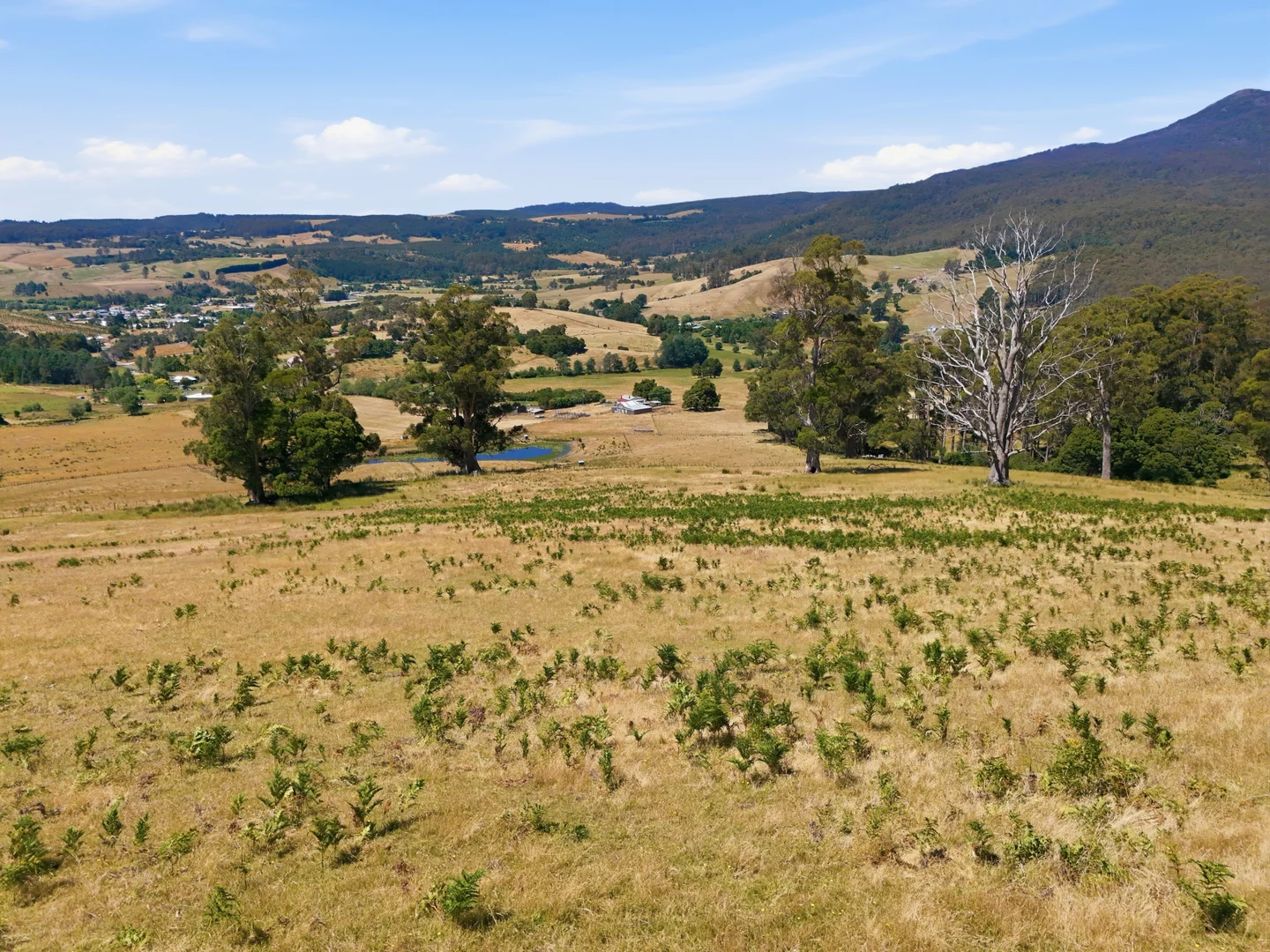 Additional image 15 of Lot 2/107 Lalla Road, Lilydale TAS 7268