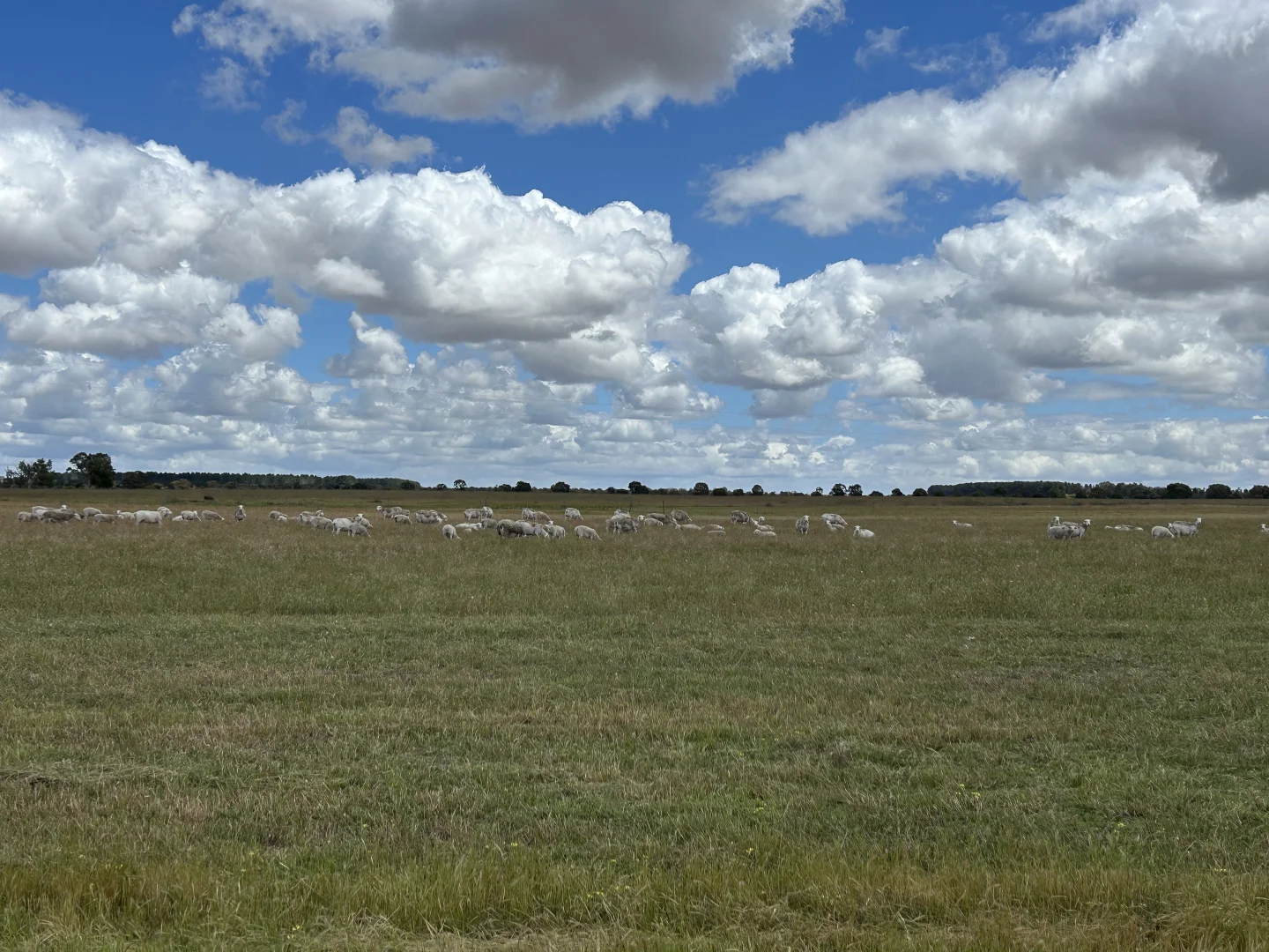 Additional image 2 of 905 Coomberdale Road West, Coomberdale WA 6512