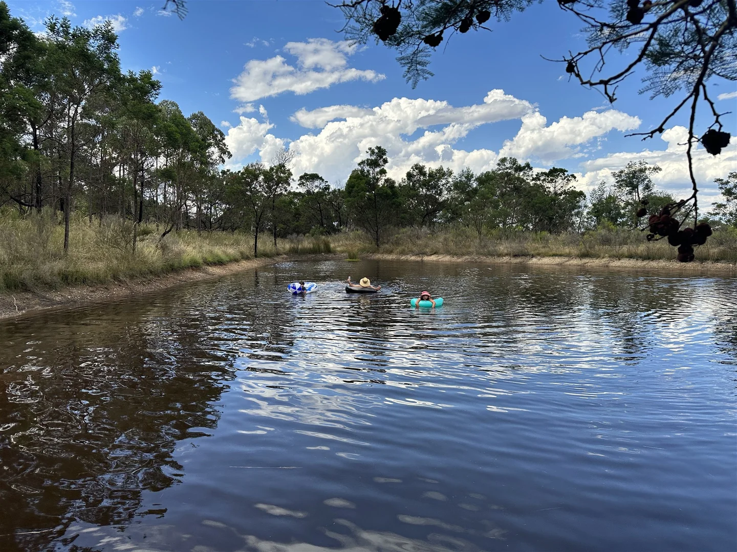 Additional image 32 of 359 Forest Siding Road, Middle Arm NSW 2580
