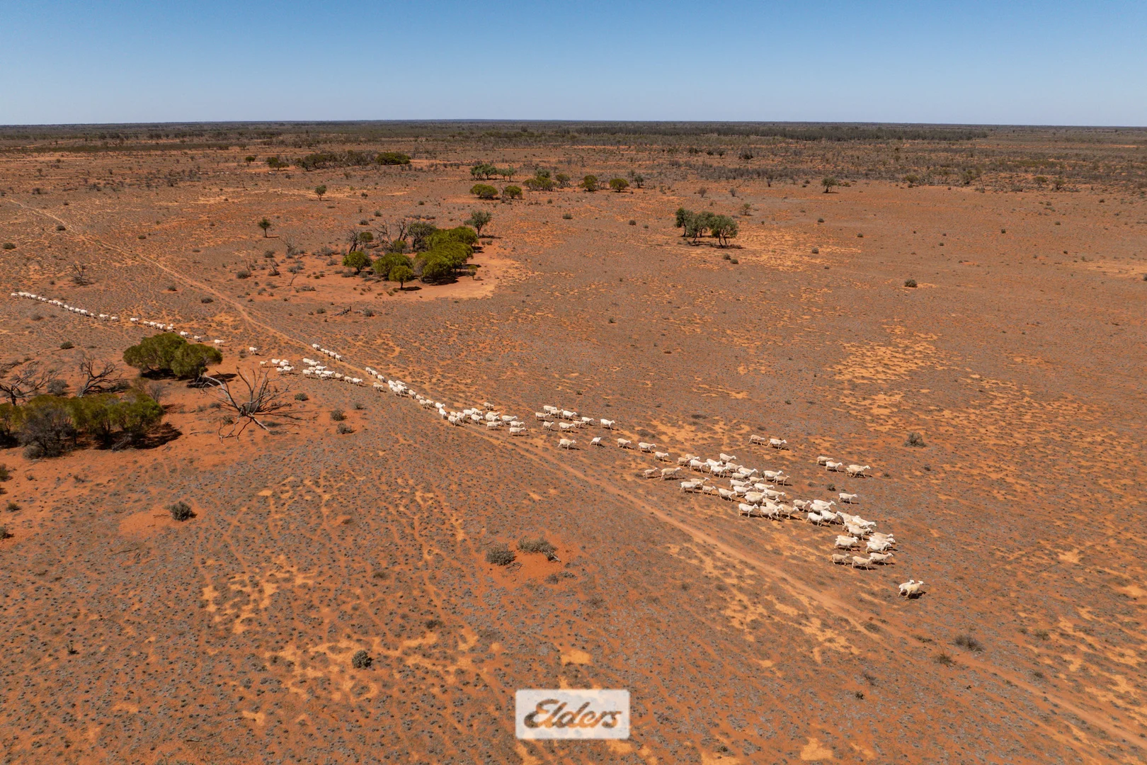 Additional image 41 of 4867 Menindee Road, Broken Hill NSW 2880