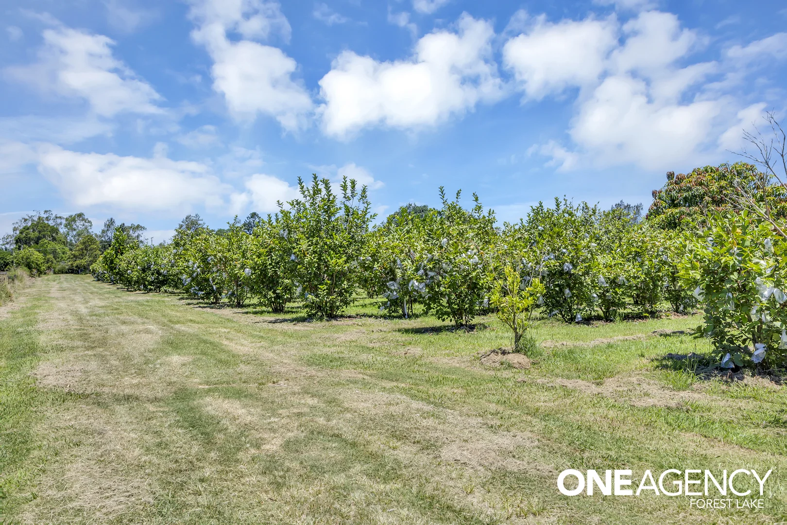 Additional image 26 of 47 Keith Street, Bundamba QLD 4304