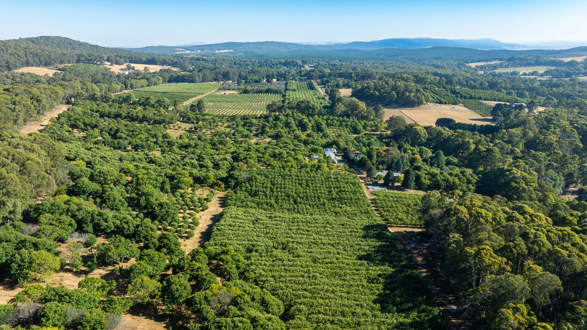 Additional image 28 of 192 Myrtleford-Stanley Road, Stanley VIC 3747