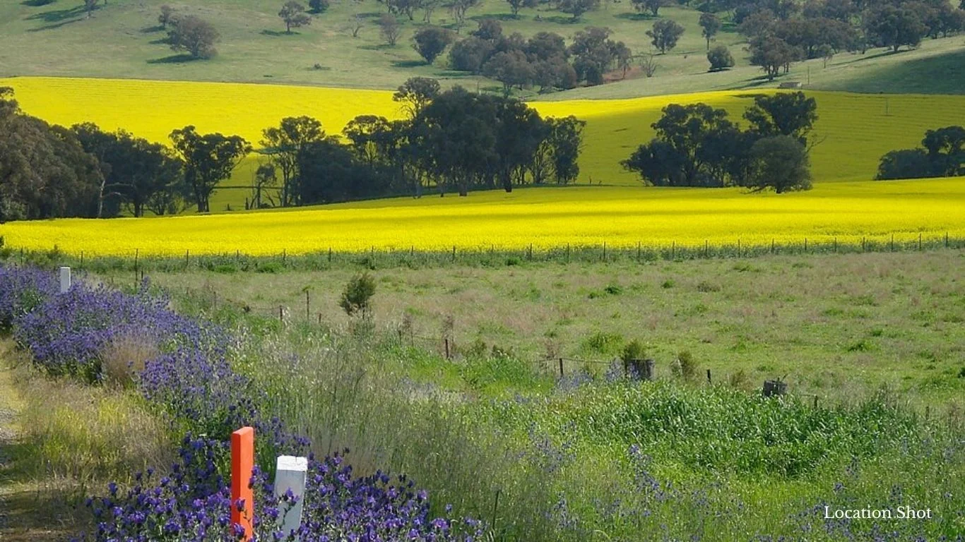 Additional image 11 of 27 Sherwin Street, Cargo NSW 2800
