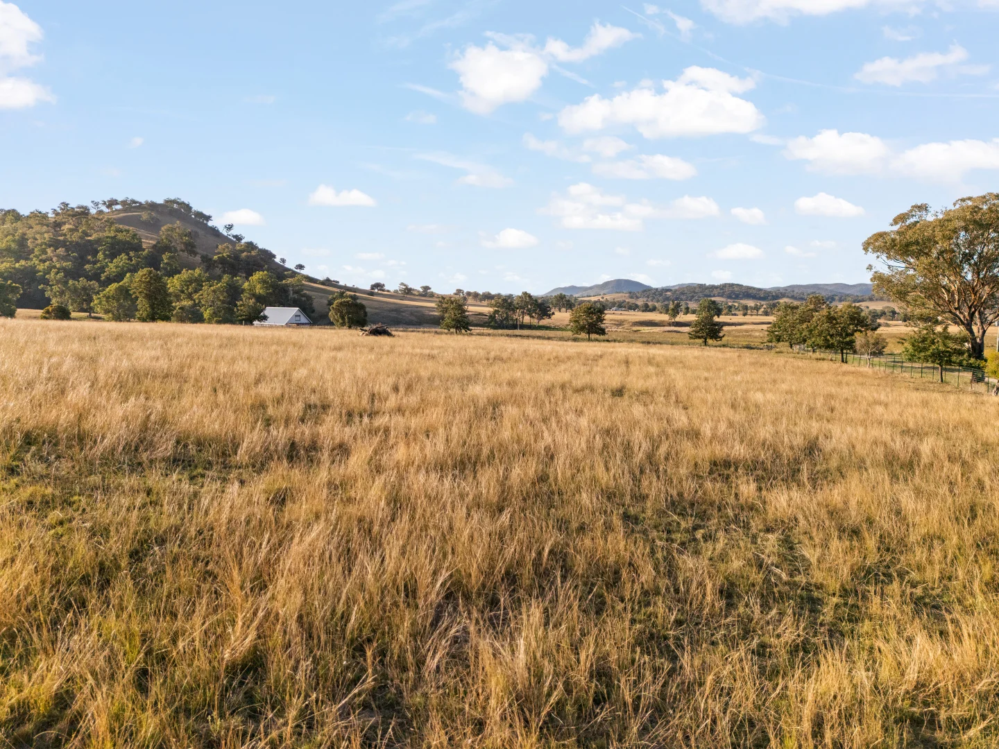 Additional image 24 of 688 Queens Pinch Road, Mudgee NSW 2850