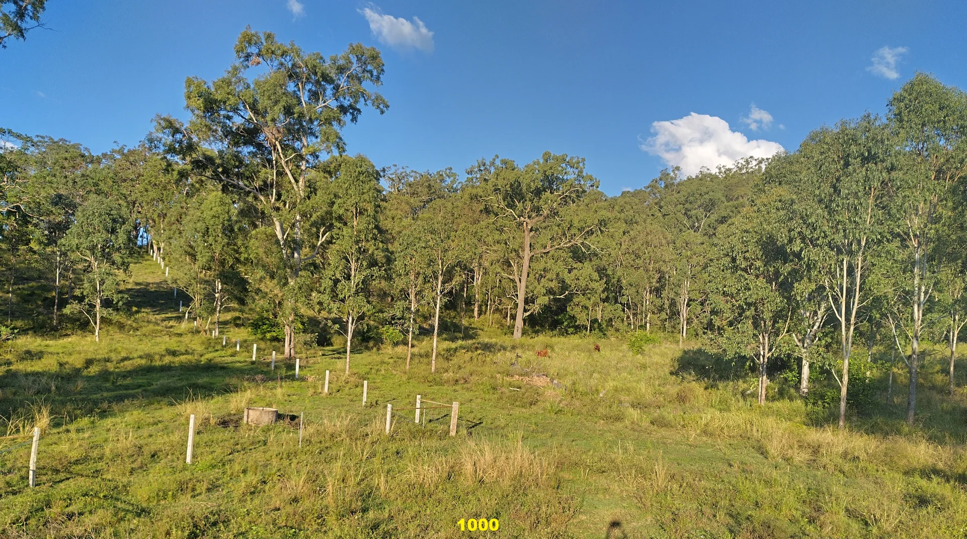 Additional image 21 of 1106 Naughtons Gap Road, Bentley NSW 2480