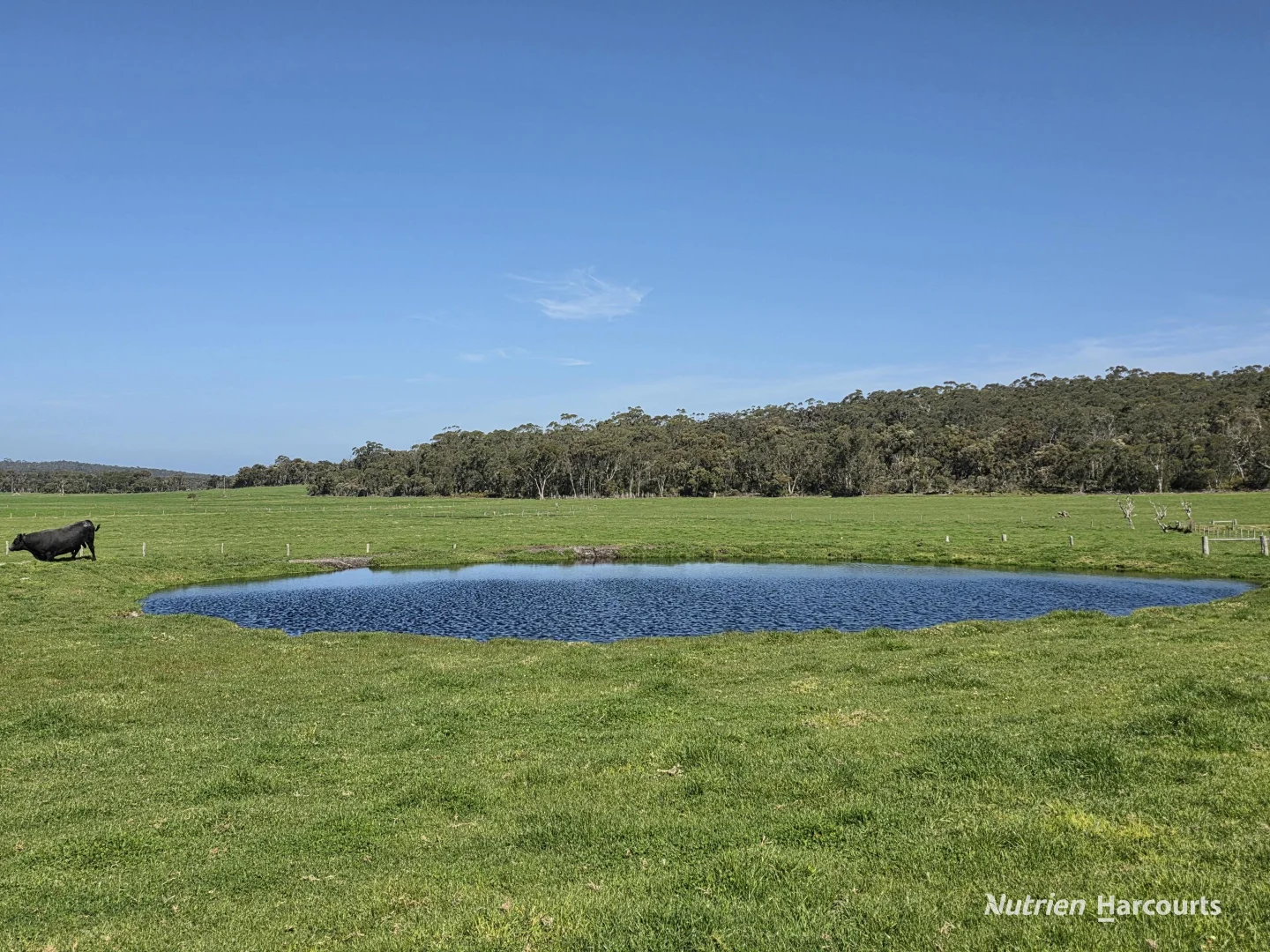 Additional image 8 of 60 Skippings Road, Kordabup WA 6333