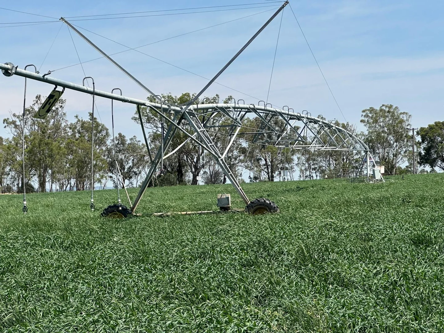 Additional image 13 of 1480 Oxley Highway, Tamworth NSW 2340