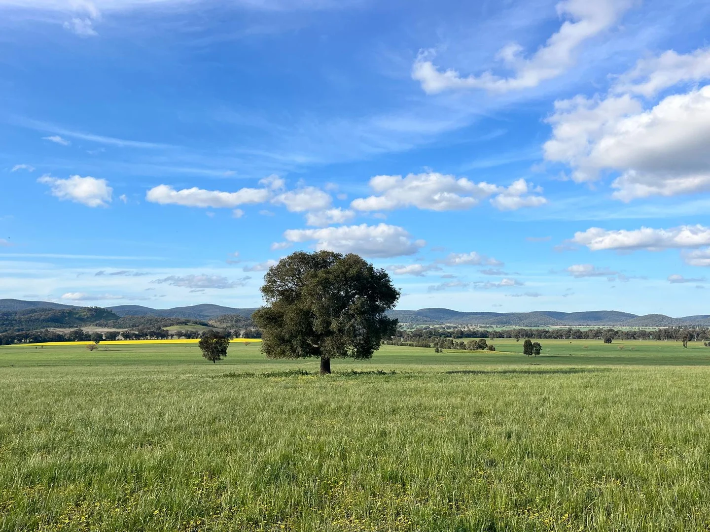 Additional image 28 of 92 Campbells Lane, Canowindra NSW 2804