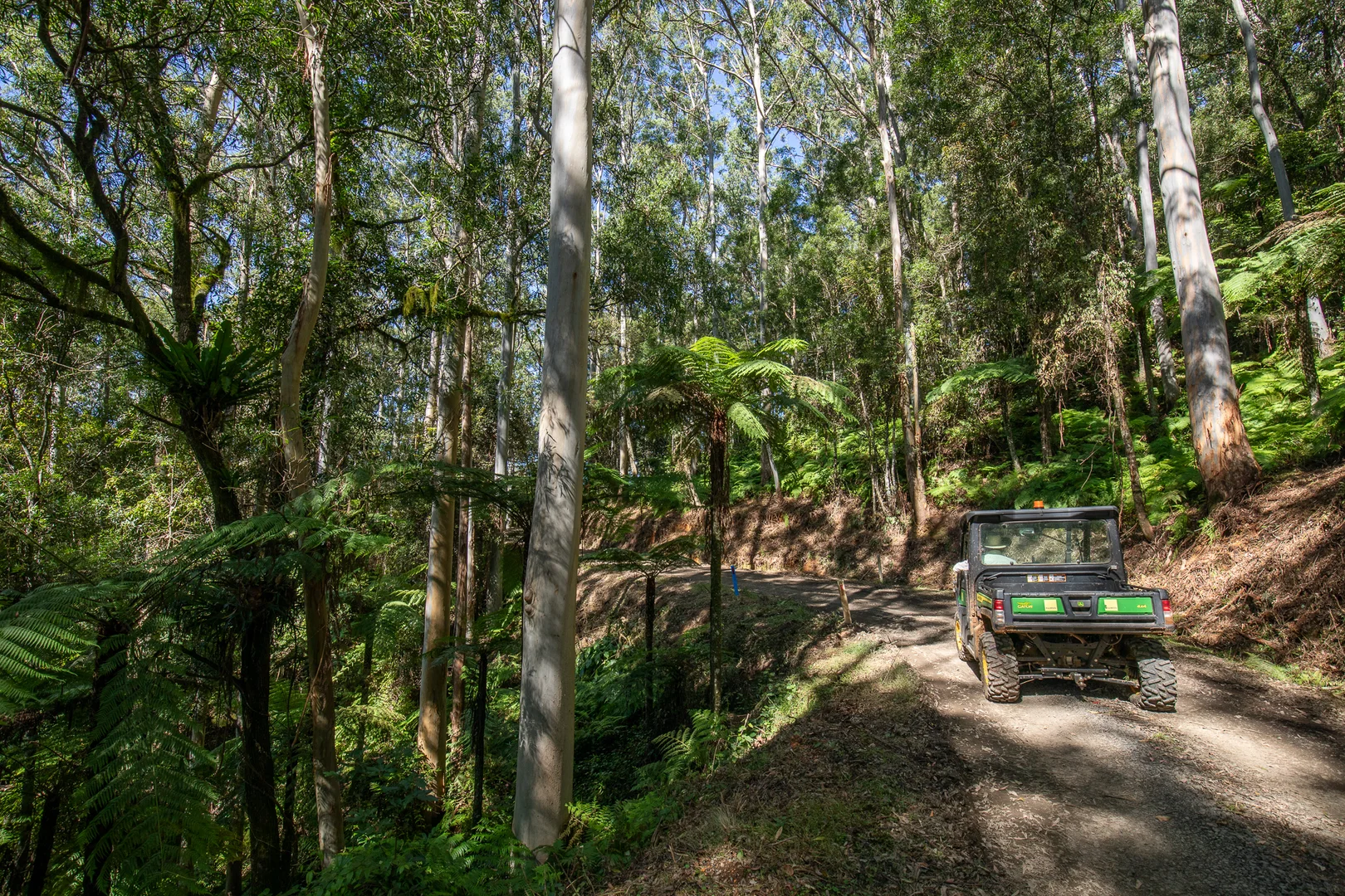 Additional image 19 of 149 Johnsens Road, Dorrigo NSW 2453