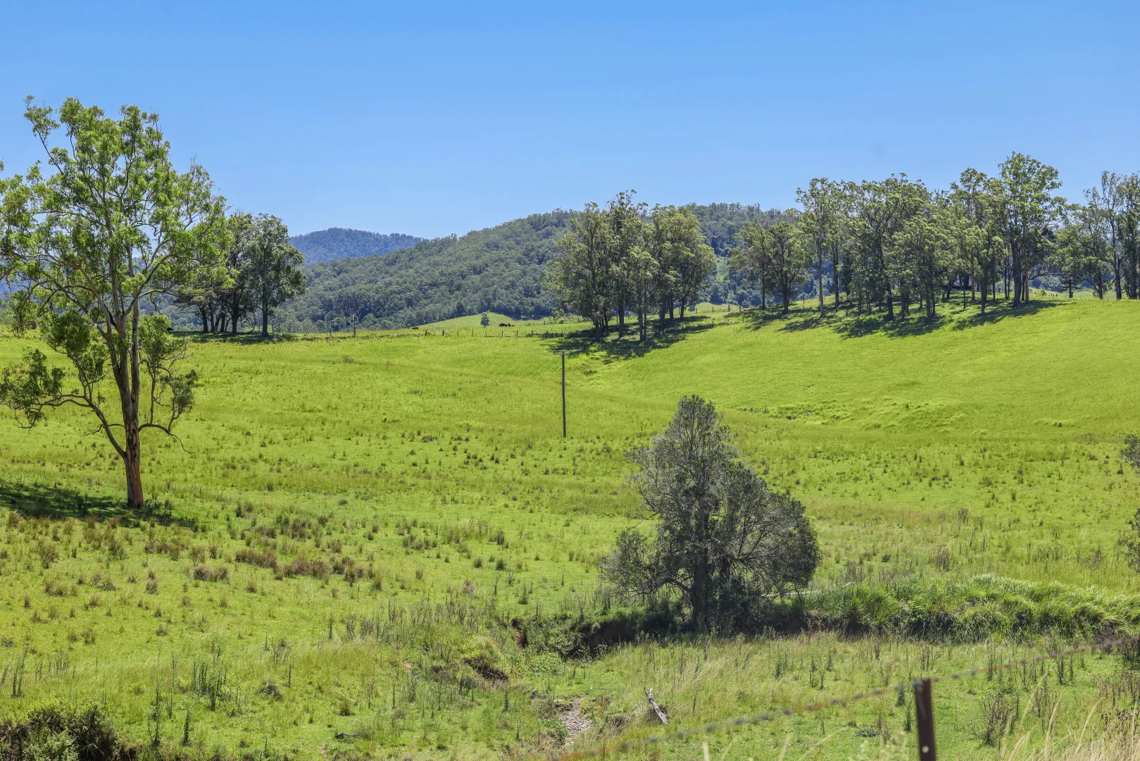 Additional image 18 of 55 Argues Rd, Upper Taylors Arm NSW 2447