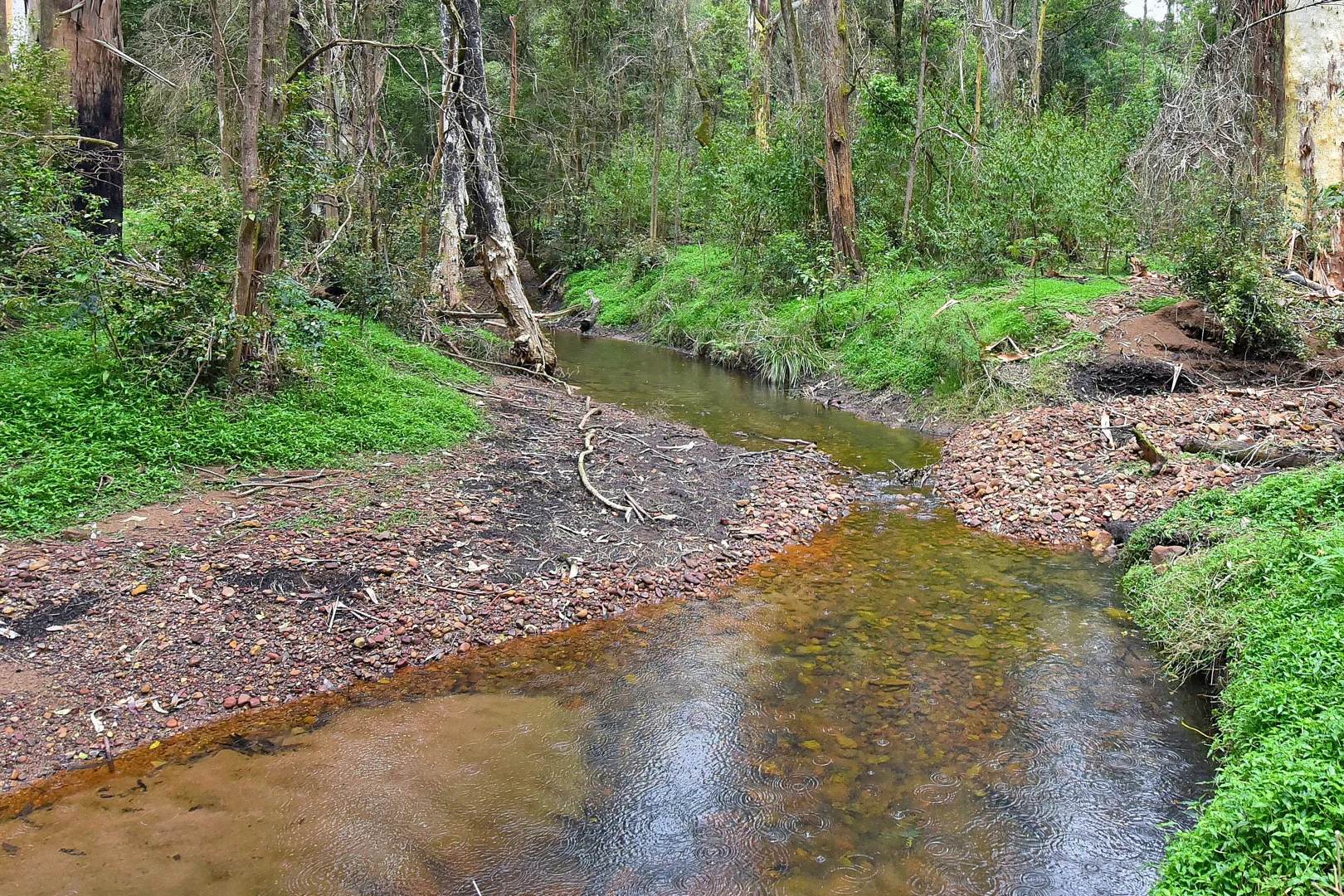 Additional image 6 of 2299 Wollombi Road, Sweetmans Creek NSW 2325