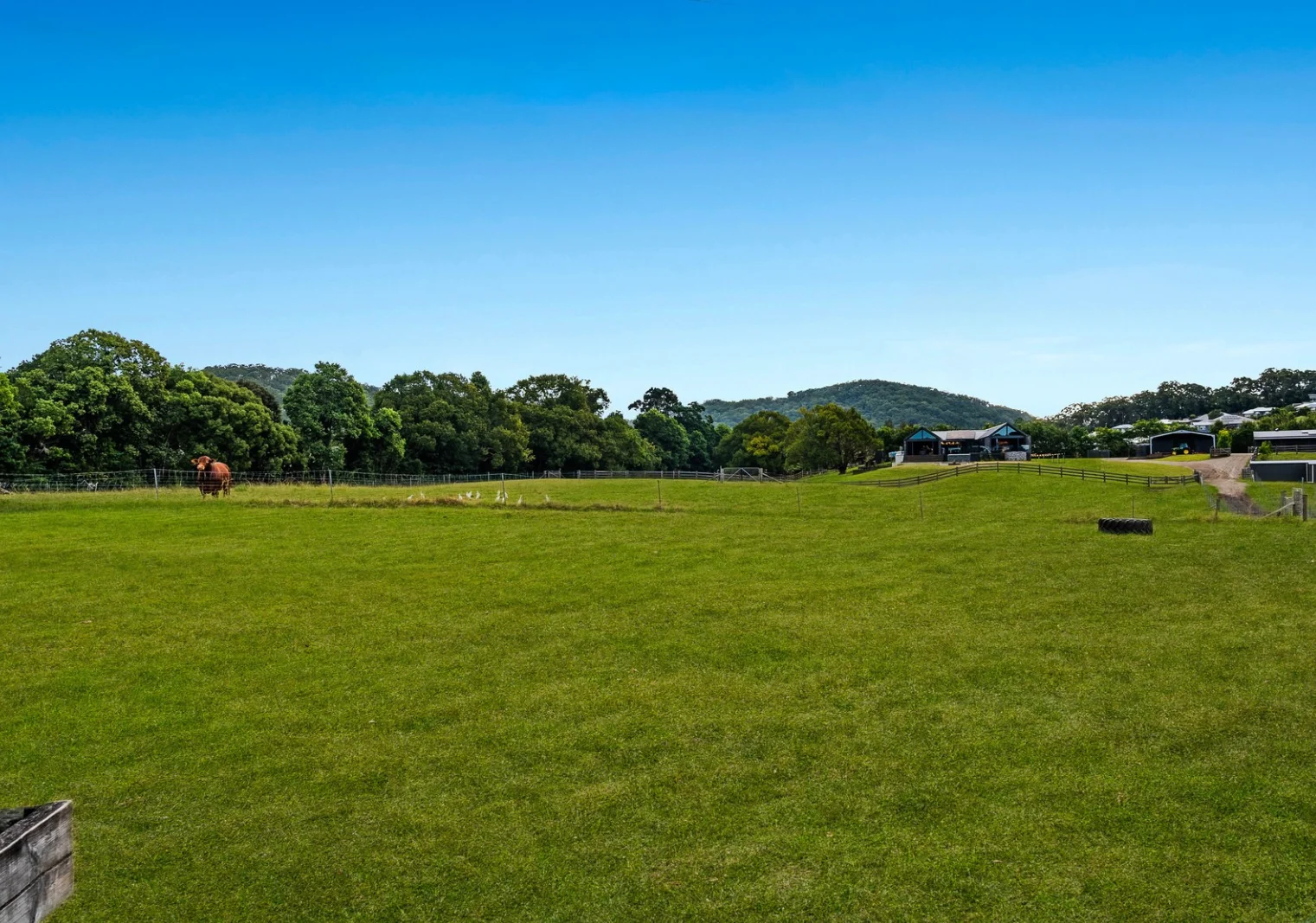 Additional image 36 of 19 Lacey Lane, Yandina QLD 4561