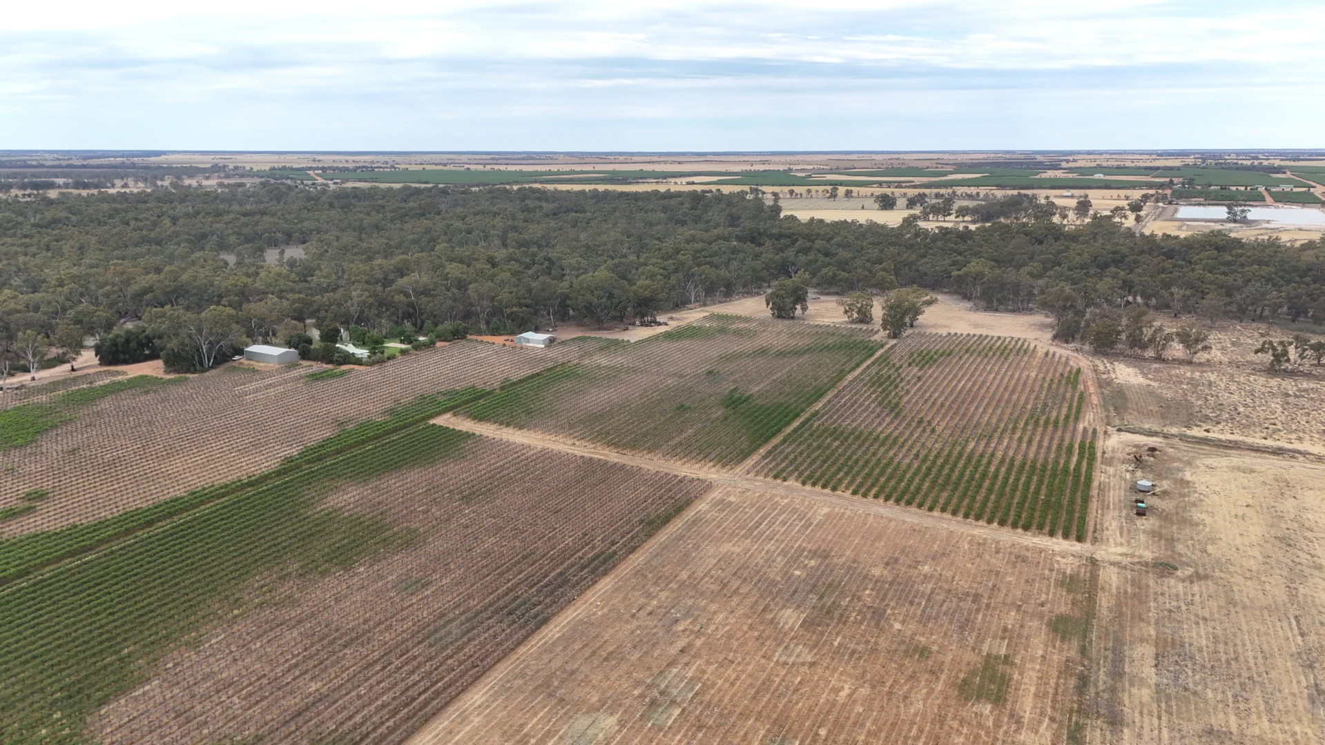 Additional image 36 of Lot A + B/28 Hankinson Lane, Piangil VIC 3597