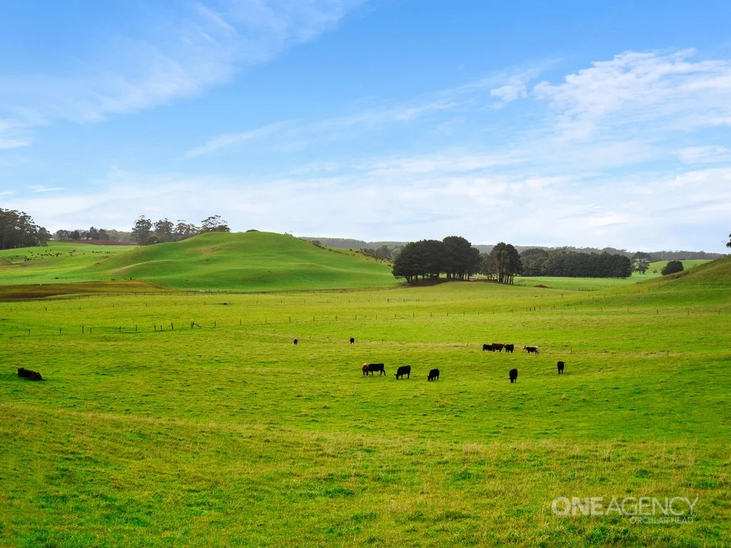 Additional image 30 of 81 Kays Road, Irishtown TAS 7330