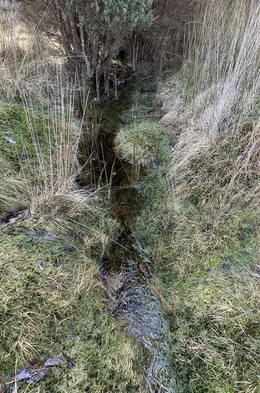 Additional image 12 of 12627 Highland Lakes Road, Golden Valley TAS 7304