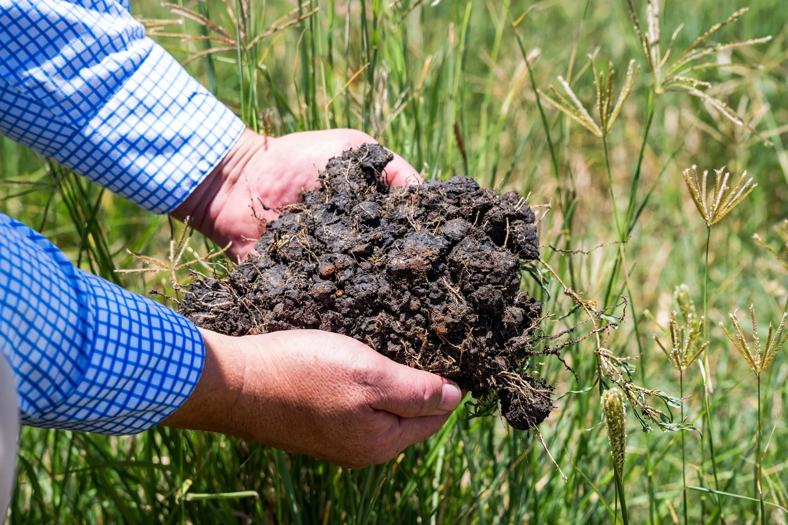 Additional image 34 of 'Ashby' 48 Felton View Road, Ellangowan QLD 4361